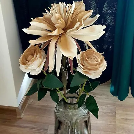Apartmán Zase Jako Doma